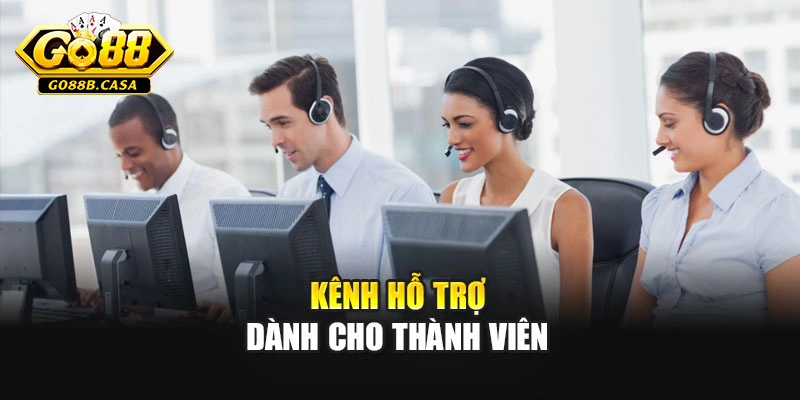 Kênh hỗ trợ dành cho thành viên